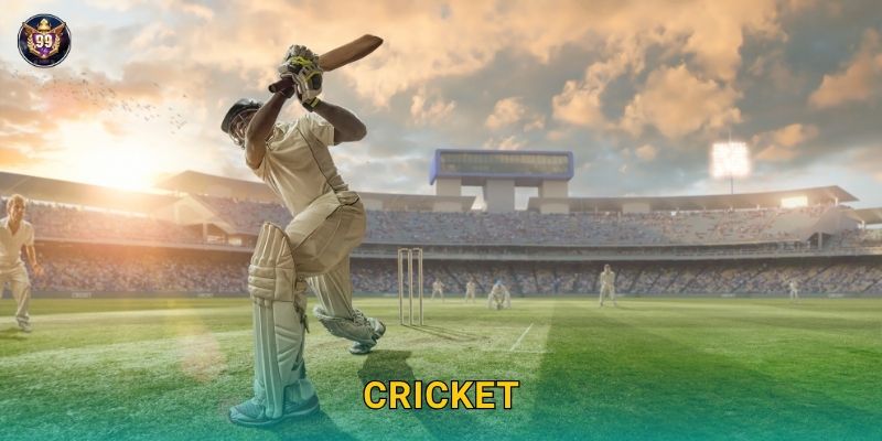 Cricket độc đáo – Môn thể thao quốc tế tại 99vin 1 Cricket độc đáo – Môn thể thao quốc tế tại 99vin