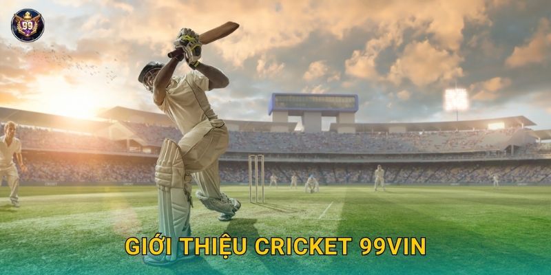 Cricket độc đáo – Môn thể thao quốc tế tại 99vin 2 Giới thiệu Cricket 99vin