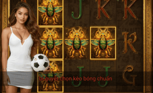 bí quyết chọn kèo bóng chuẩn